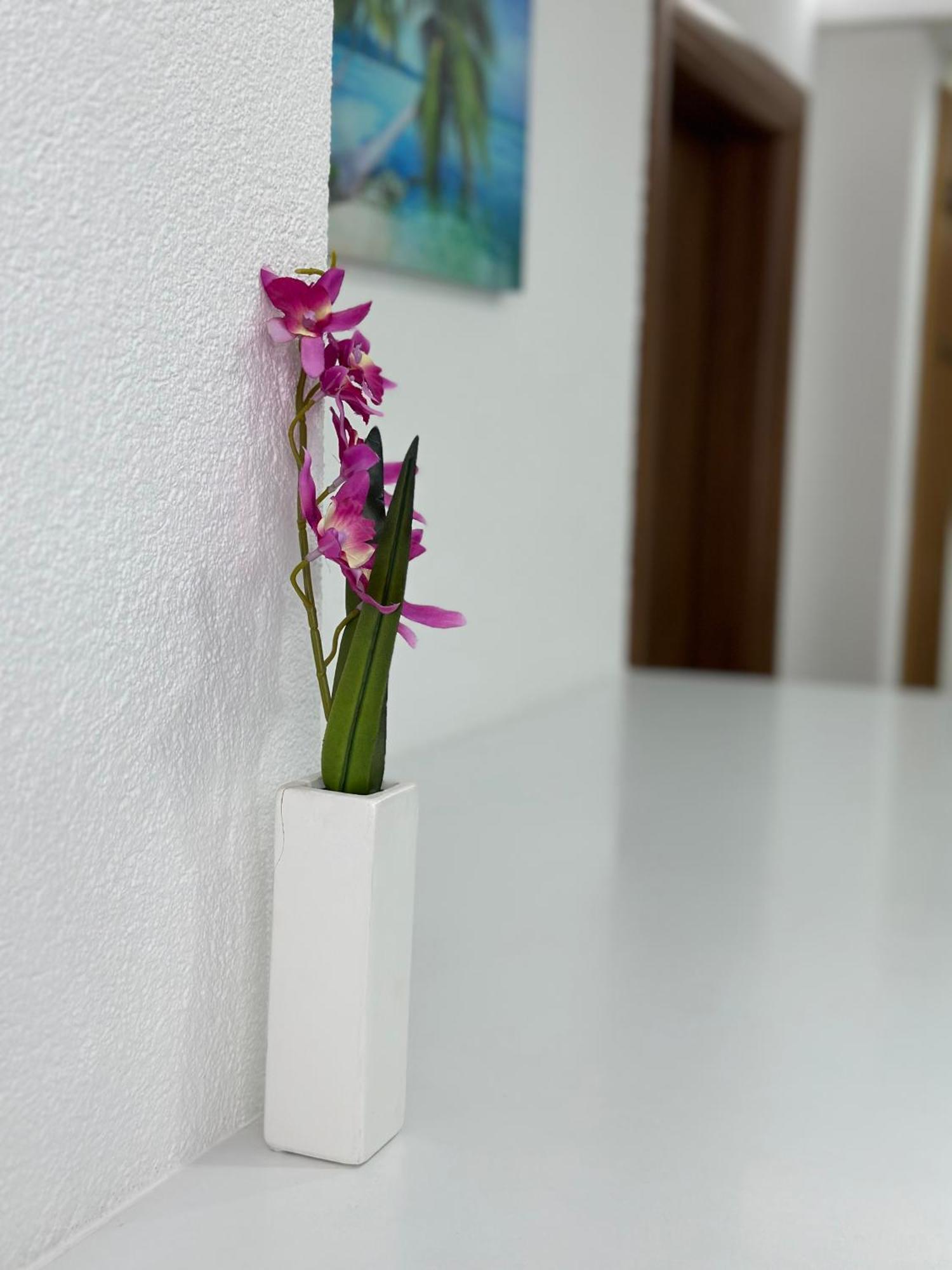 New Luxury Apartment In Sarajevo Center Екстер'єр фото